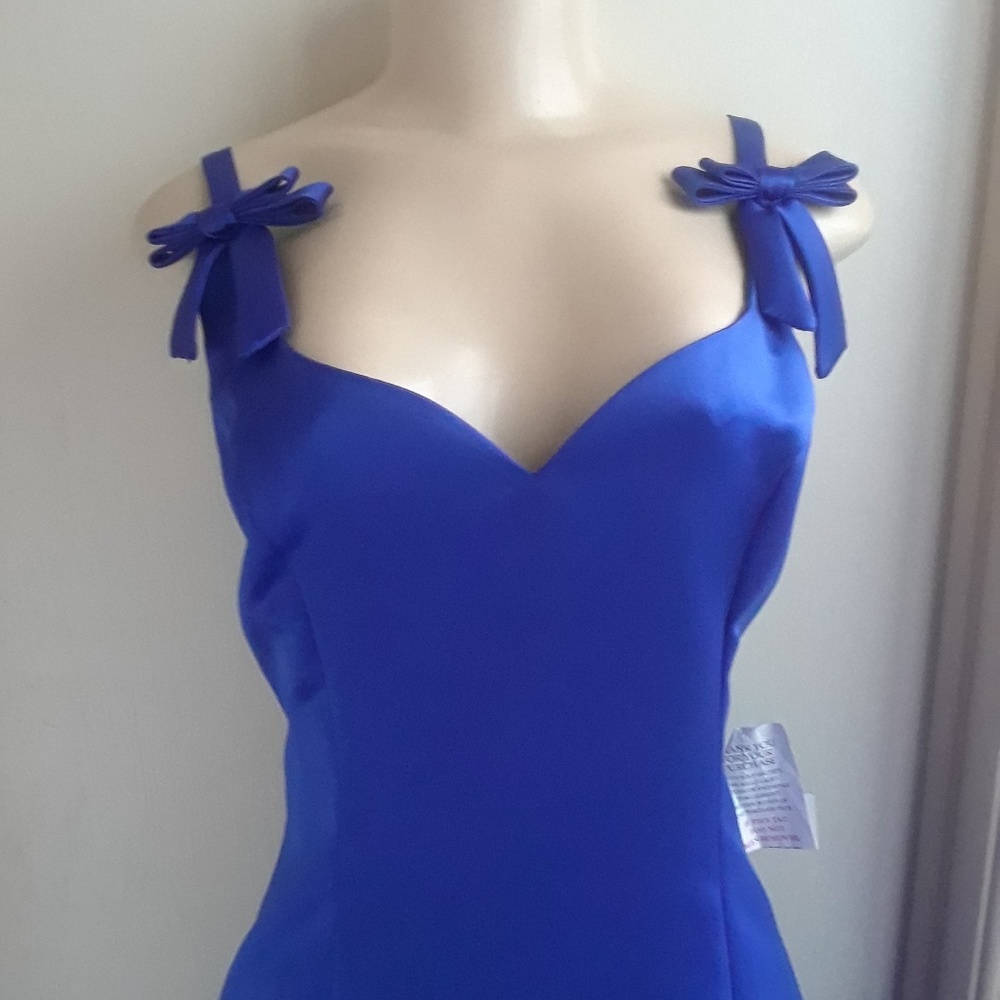 Final Price Roberta Formal Dress.